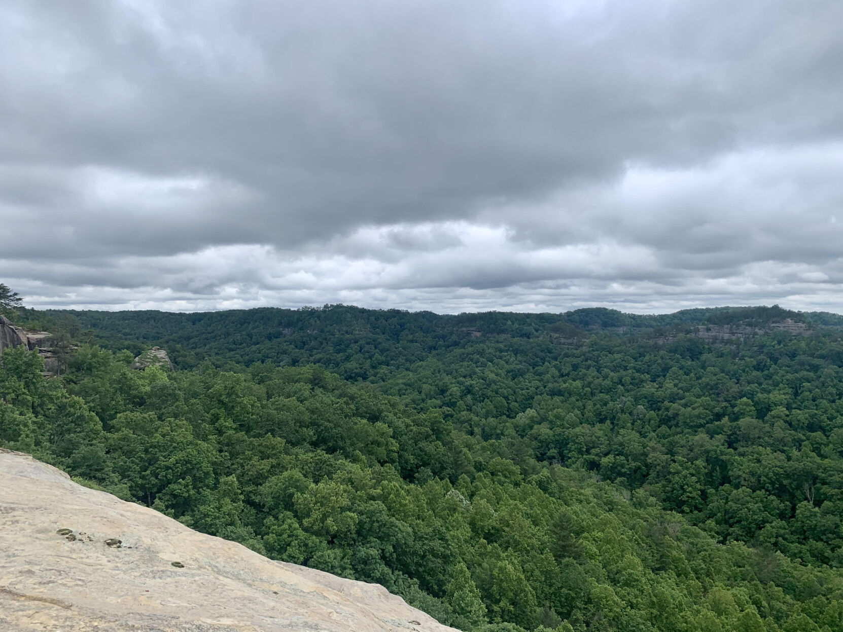 48-year-old man found alive at Red River Gorge after going missing 2 weeks ago